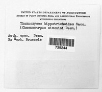 Image Associated With the Occurence
